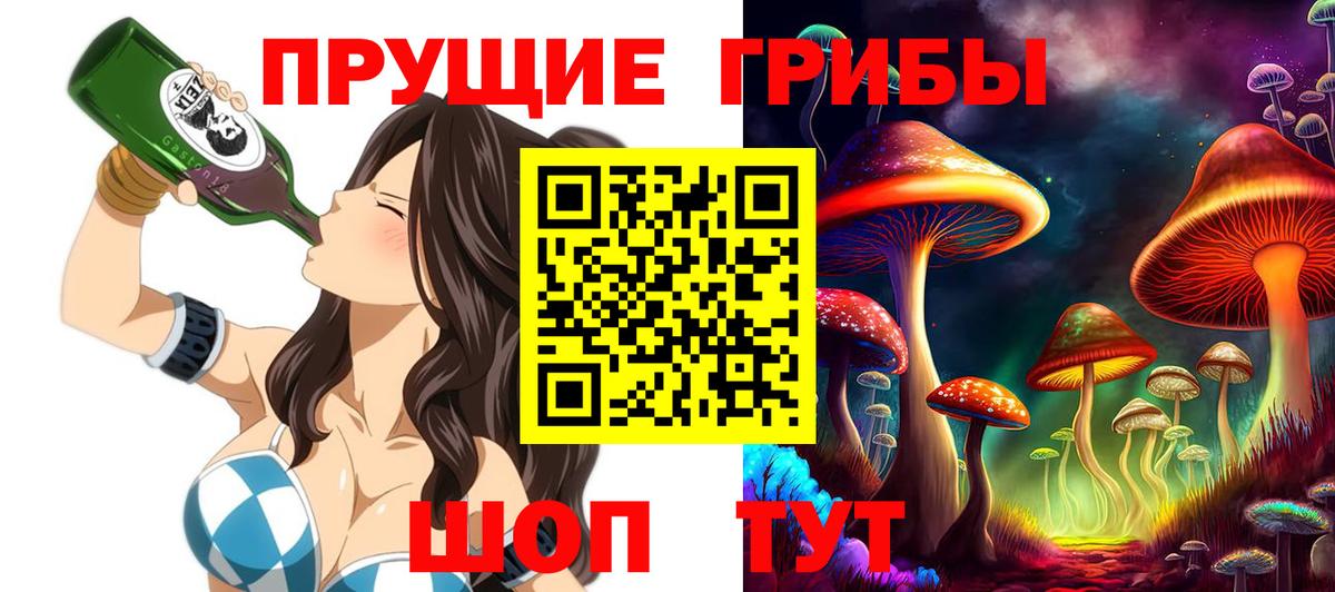 Сунжа  Псилоцибиновые грибы прущие грибы  Вход с VPN 
